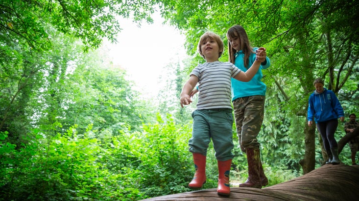 Children walking on fallen tree at Fyne Court